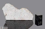 AUMALE - Caduta il 25 Agosto 1865, Alger, Sour el Ghozlane,Algeria. Chondrite L6 Venata. Massa totale recuperata 50 kg. Pezzo in collezione: fetta con crosta gr.9 (McM547) 