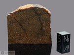 BLUFF A - Recuperata nel 1917, Contea Favette, Texas, USA. Chondrite L4. Massa totale recuperata 152.75 kg. Pezzo in collezione: fetta gr.35.8 (McM449)