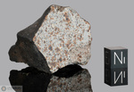 CAMPOS SALES - Caduta 31 Genaio 1991, Cearà, Brasile. Condrite L5. Massa totale recuperata 23.68 kg. Campione in collezione: fine pezzo con crosta gr.85.2 - McM623