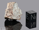 DAR AL GANI 650 - Recuperata nel 1999, Dar Al Gani, Deserto libico, Libia. Chondrite L6. Massa totale recuperata 3700 grammi. Pezzo in collezione: frammento con faccia pulita gr.6.7 (McM56)
