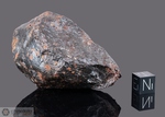 GHUBARA - Recuperata nel 1954, Oman. Chondrite L 5 xenolitica. Massa totale recuperata 1750 kg.. Pezzo in collezione: frammento gr.209 (McM094) 