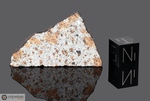 LEEDEY - Caduta il 25 Novembre 1943, Contea Dewey, Oklahoma, USA. Chondrite L6. Massa totale recuperata 50 kg. Pezzo in collezione: fetta con crosta gr.9.9 (McM304)
