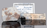 MONTE MILONE - Caduta l’ 8 Maggio 1846, Macerata, Marche, Italia. Chondrite L5 brecciata. Massa totale recuperata 3.13 kg. pezzo in collezione: fetta con crosta gr.35.9 (McM661) dal Museo di Storia Naturale di Milano