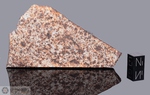 NWA 104 - Recuperata nel 2000, Marocco, Africa. Chondrite L6. Massa totale recuperata 4.1 kg. Pezzo in collezione: fetta gr.56.1 (McM310) 