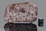 NWA 975 - Recuperata nel 2001, Erfoud, Morocco, Africa. Chondrite L4. Massa totale recuperata 1100 grammi. Pezzo in collezione: fetta gr.67 (McM530) 