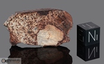 NWA 1259 - Recuperata nel 2002, Erfoud, Marocco, Africa. Chondrite L3.8/L6 Breccia. Massa totale recuperata 120 grammi. Pezzo in collezione: fetta gr.8.6 (McM477)