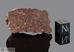 NWA 1271 - Recuperata nel 2002, Erfoud, Marocco, Africa. Chondrite L5. Massa totale recuperata 94.2 grammi. Pezzo in collezione: fine pezzo gr.20.5 (McM518) 