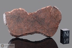 NWA 1275 - Recuperata nel 2002, Erfoud, Morocco, Africa. Chondrite L6. Massa totale recuperata 597 grammi. Pezzo in collezione: fetta gr.28 (McM420)