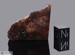 PAMPA F - Recuperata nel 1986, vicino Mejilones, Cile. Chondrite L4/5. Massa totale recuperata 1300 grammi. Pezzo in collezione: fetta gr.17 (McM391)