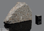 SARATOV - Caduta il 6 Settembre 1918, Donguz, Penza, Russia. Chondrite L4. Massa totale recuperata 328 kg. Pezzo in collezione: frammento gr.151.9 (McM218) 