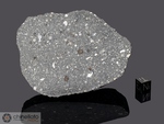 ALLENDE - Fall 8 February 1969, Chihuahua, Mexico. Carbonaceous Chondrite CV3. Total mass 2 tons. Specimen in collection: end piece with crust gr.332.1 (McM006)