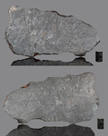 NEA 051 - Find 2023, Libya, Africa. Iron Octhaedrite IIIAB. Total mass 100 kg. - Slice gr.289.5 - € 640,00