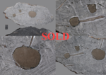 NEA 051 - Find 2023, Libya, Africa. Iron Octhaedrite IIIAB. Total mass 100 kg. - Slice gr.458.8 - € 1.102,68