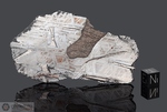 SAINT AUBIN - Recuperata nel 1968, Champagne-Ardenne, Francia. Siderite Octahedrite IIIAB. Massa totale recuperata 472 kg. Pezzo in collezione: fetta gr.63 (McM740)