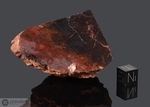 WOLF CREEK - Recuperata nel 1947, S. of Hall’s Creek, Kimberley, Australia. Siderite Octahedrite IIIAB. Massa totale recuperata 755 kg. Pezzo in collezione: fine pezzo gr.160 (McM258)