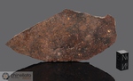 Al Huqf 007 - Recuperata il 4 Febbraio 2004, Oman. Chondrite L4. Massa totale recuperata 200.000 kg. Pezzo in collezione: fetta gr.81 (McM601)