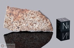 BECHAR 001 - Recuperata nel 1998, Algeria. Chondrite L5. Massa totale recuperata 51 kg. Pezzo in collezione: fetta gr.10.2 (McM424)