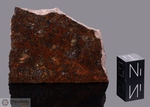 BROKEN HILL - Recuperata nel 1994, New South Wales, Australia. Chondrite L6. Massa totale recuperata 34 kg. Pezzo in collezione: fetta gr.34.7 (McM399)