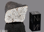 BRUDERHEIM - Caduta il 4 Marzo 1960, Alberta, Canada. Chondrite L6. Massa totale recuperata 303 kg. Pezzo in collezione: fine pezzo con crosta gr.36.6 (McM545) 