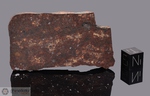 CLIFFORD - Recuperata nel 1962, Lincoln County, Colorado, USA. Chondrite L6. Massa totale recuperata 11.36 kg. Pezzo in collezione: fetta gr.45.9 (McM035)