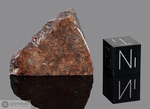 DAR AL GANI 085 - Recuperata nel 1995, Dar Al Gani, Libia. Chondrite L3/4 Breccia. Massa totale recuperata 153 grammi. Pezzo in collezione: fine pezzo gr.16 (McM599)