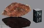 DAR AL GANI 483 - Recuperata nel 1998, Dar Al Gani, Deserto libico, Libia. Chondrite L6. Massa totale recuperata 153 grammi. Pezzo in collezione: fetta gr.9 (McM043) 