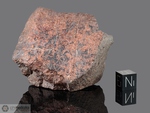 DAR AL GANI 502 - Recuperata nel 1998, Dar Al Gani, Deserto libico, Libia. Chondrite L6. Massa totale recuperata 4242 grammi. Pezzo in collezione: frammento gr.158 (McM048)