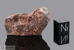 DAR AL GANI 721 - Recuperata nel 1999, Dar Al Gani, Libia. Chondrite L3/4. Massa totale recuperata 42.8. Pezzo in collezione: frammento con faccia pulita gr.14.9 (McM349) 