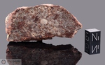 DALGETY DOWNS - Recuperata nel 1941, Distretto di Gascoyne, Australia. Chondrite L4. Massa totale recuperata 474 kg. Pezzo in collezione: fetta gr.52.2 (McM38) 