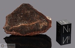 GOLD BASIN - Recuperata nel 1995, Contea Mohave, Arizona, USA. Chondrite L4. Massa totale recuperata 61 kg. Pezzo in collezione: fine pezzo gr.24 (McM100)