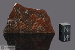 JIDDAT AL HARASIS 003 - Recuperata il 2 Agosto 1999, Oman. Chondrite L5. Massa totale recuperata 10.83 kg. Pezzo in collezione: fetta gr.36 (McM416)
