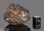 JIDDAT AL HARASIS 018 - Recuperata il 26 Aprile 2000, Oman. Chondrite L6. Massa totale recuperata 202 grammi. Pezzo in collezione: fine pezzo gr.31.3 (McM422) 