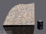 KUNASHAK - Caduta l’11 Giugno 1949, Regione Chelyabinsk, Russia. Chondrite L6. Massa totale recuperata 200 kg. Pezzo in collezione: fetta gr.100 (McM350)
