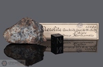 L'AIGLE - Caduta il 26 Aprile 1803, Orne, Francia. Chondrite L6 brecciata. Massa totale recuperata 37 kg. Pezzo in collezione: fine pezzo con crosta gr.23.08 (McM132) proveniente dalla collezione del Museo di Storia Naturale di Milano