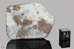 MONTE MILONE - Caduta l’ 8 Maggio 1846, Macerata, Marche, Italia. Chondrite L5 brecciata. Massa totale recuperata 3.13 kg. pezzo in collezione: fetta con crosta gr.35.9 (McM661) 