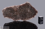 NWA 064 - Recuperata nel Luglio 2000, Erfoud, Marocco, Africa. Chondrite L5. Massa totale recuperata 10 kg. Pezzo in collezione: fetta gr.52 (McM169) 