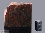 NWA 067 - Recuperata nell’Agosto 2000, Rissani, Marocco, Africa. Chondrite L6. Massa totale recuperata 11 kg. Pezzo in collezione: fetta gr.82 (McM171) 