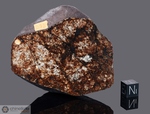 NWA 848 - Recuperata il 16 Novembre 2000, Zagora, Marocco, Africa. Chondrite L6 brecciata. Massa totale recuperata 4508 grammi. Pezzo in collezione: fine pezzo con crosta e faccia pulita gr.283 (McM317)