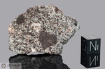 NWA 869 - Recuperata nel 2000, Marocco, Africa. Chondrite L4/6. Massa totale recuperata oltre 2000 kg. Pezzo in collezione: fetta gr.10.85 (McM651) 