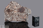 NWA 869 - Recuperata nel 2000, Marocco, Africa. Chondrite L4/6. Massa totale recuperata oltre 2000 kg. Pezzo in collezione: fetta gr.17.5 (McM652) 