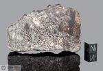 NWA 869 - Recuperata nel 2000, Marocco, Africa. Chondrite L4/6. Massa totale recuperata oltre 2000 kg. Pezzo in collezione: fine pezzo gr.136.40 (McM653) 