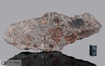 NWA 869 - NWA 869 - Recuperata nel 2000, Marocco, Africa. Chondrite L4/6. Massa totale recuperata oltre 2000 kg. Pezzo in collezione: fine pezzo gr.291.7 (McM576) 