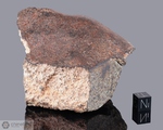 NWA 882 - Recuperata nel 2001, Erfoud, Marocco. Chondrite L4. Massa totale recuperata 562 grammi. Pezzo in collezione: massa maggiore con crosta gr.542 (McM346)