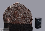 NWA 900 - Recuperata nel 2001, Erfoud, Marocco, Africa. Chondrite L3/6 brecciata. Massa totale recuperata 616 grammi. Pezzo in collezione: fine pezzo gr.118 (McM524)