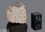 NWA 1247 - Recuperata nel 2002, Erfoud, Morocco, Africa. Chondrite L3.8. Massa totale recuperata 27.6 grammi. Pezzo in collezione: fine pezzo gr.22.6 (McM520)