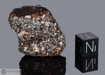 NWA 1249 - Recuperata nel 2002, Erfoud, Marocco, Africa. Chondrite L3.8/L6 Breccia. Massa totale recuperata 64.8 grammi. Pezzo in collezione: fine pezzo gr.28.4 (McM478)