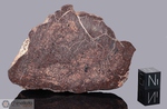 NWA 1250 - Recuperata nel 2002, Erfoud, Marocco, Africa. Chondrite L5 Venata. Massa totale recuperata 522 grammi. Pezzo in collezione: fetta gr.87.8 (McM484)
