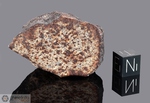 NWA 1261 - Recuperata nel 2002, Erfoud, Marocco, Africa. Chondrite L5. Massa totale recuperata 118 grammi.Pezzo in collezione: fine pezzo gr.52.2 (McM516) 