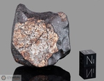 NWA 1264 - Recuperata nel 2002, Erfoud, Marocco, Africa. Chondrite L4/5. Massa totale recuperata 126 grammi. Pezzo in collezione: massa maggiore con crosta gr.102 (McM505)