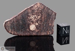 NWA 1265 - Recuperata nel 2002, Erfoud, Marocco, Africa. Chondrite L6. Massa totale recuperata 198 grammi. Pezzo in collezione: fetta gr.15.25 (McM514)